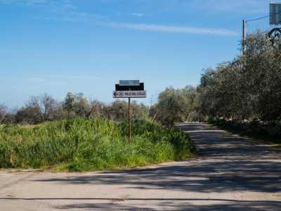 Per approfondire questa intrigante storia non resta quindi che condurci proprio ad Auricarro, l� dove tutto � avvenuto. La contrada, immersa nel verde, � situata a 2 chilometri a sud-ovest del centro di Palo